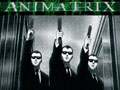 The Animatrix